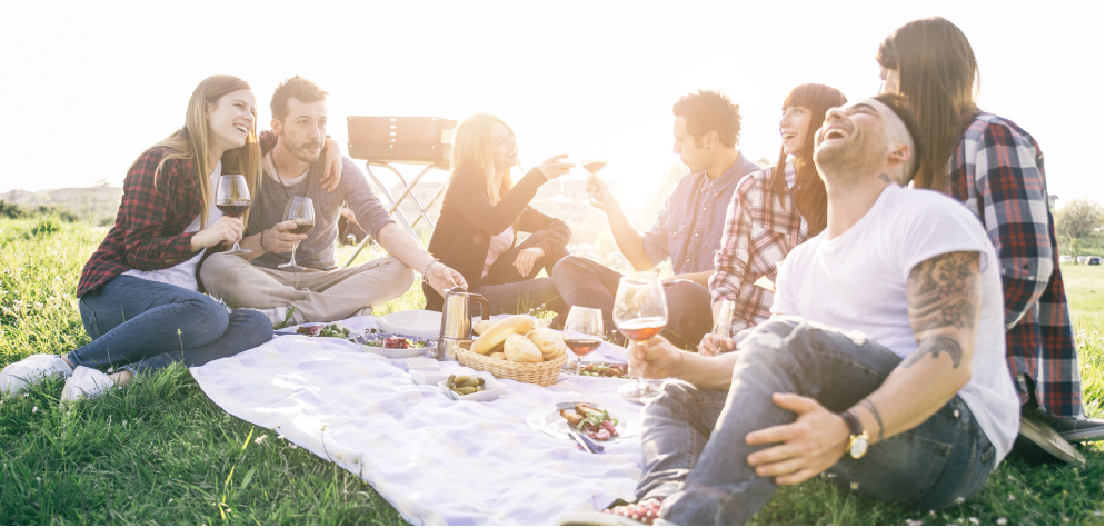 Friends enjoying a Summer picnic