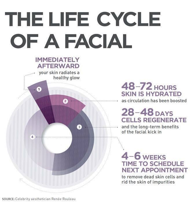 Facial Infographic