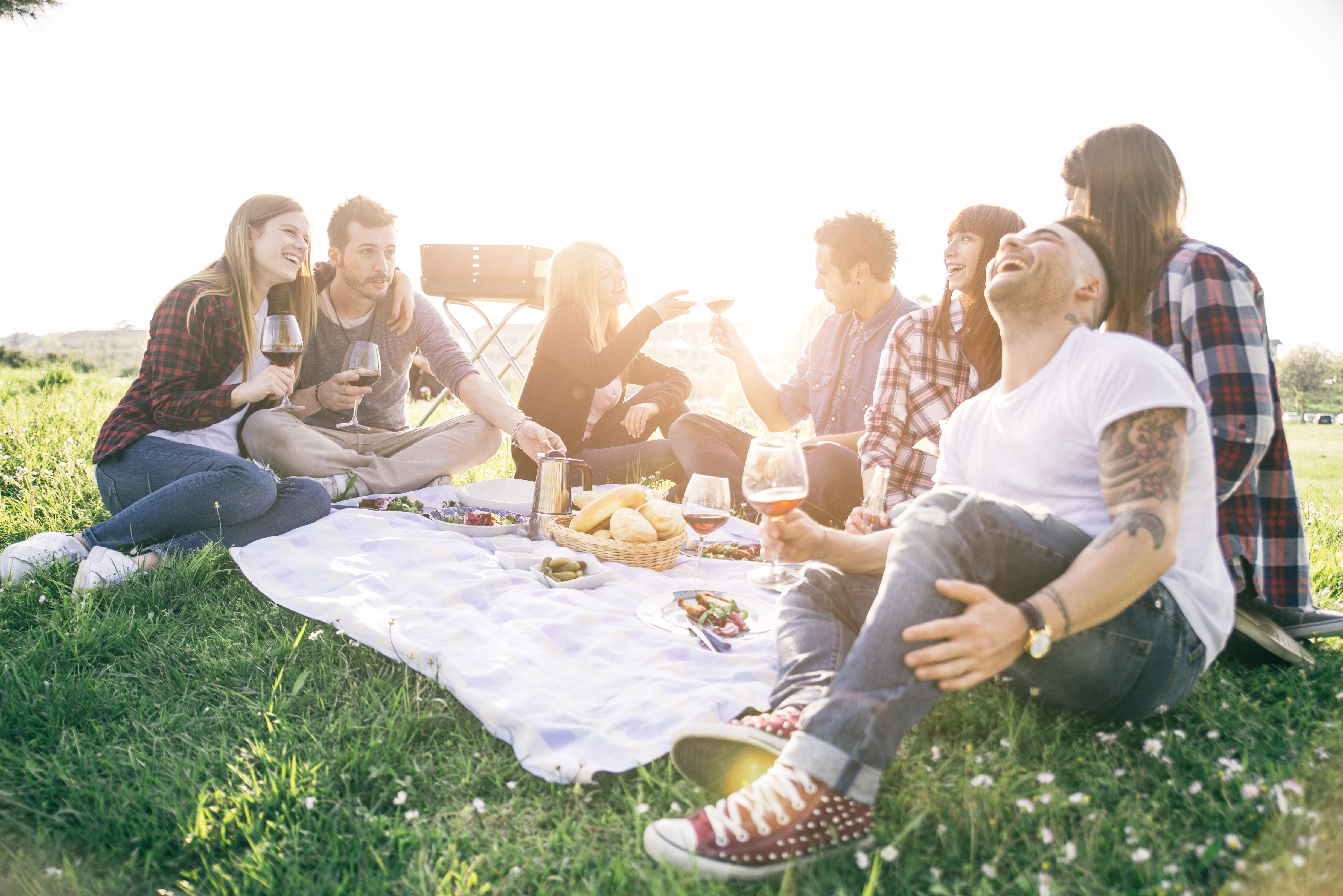 Friends enjoying a picnic